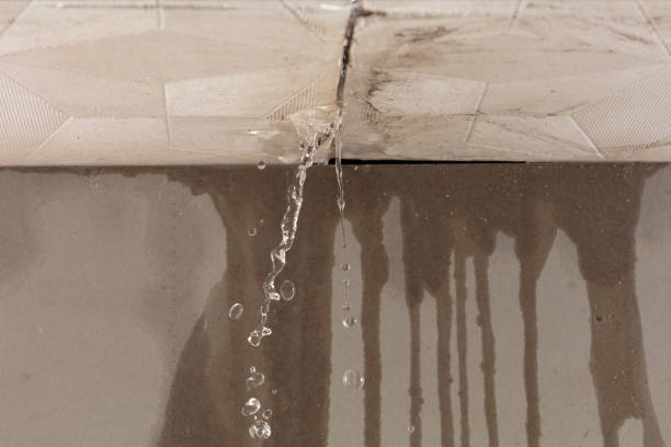 Professional Structural Drying technician working in Broadview Heights, OH